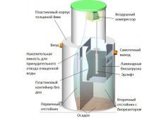 Панда Кинг 40